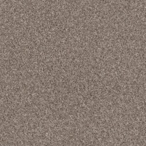 GRANDIOSE by Shaw Floors - Chestnut