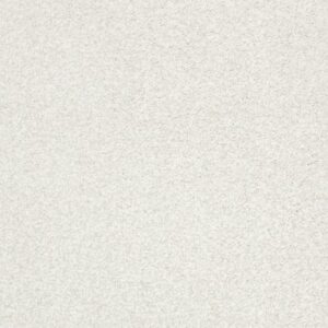 TONAL COMFORT I by Shaw Floors - Neighborhood Bistro