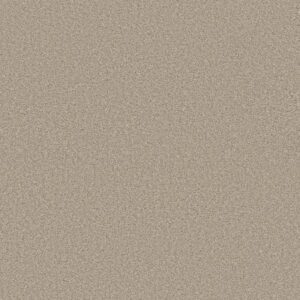 TRUSOLUTIONS III by Shaw Floors - Sand