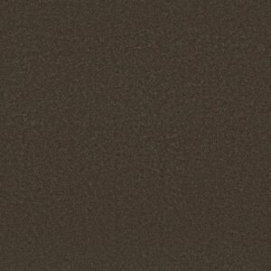 AWAKEN SPIRIT II 12' by Shaw Floors - Wood Grain