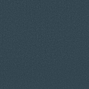AWAKEN SPIRIT II 12' by Shaw Floors - Marina