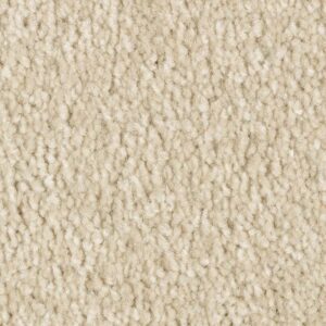 Elegant Appeal I by Mohawk - Shell Trail