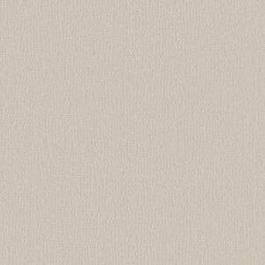 CLEVER DESIGN by Shaw Floors - Scotch Mist