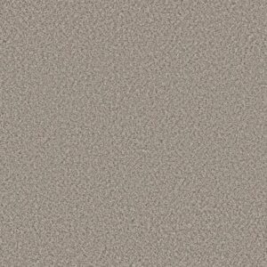 FEELIN' ALRIGHT by Shaw Floors - Almond