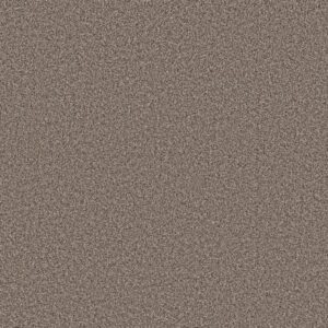 ARTISTIC FUSION II by Shaw Floors - Urban Rustic