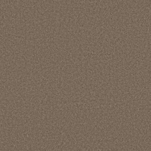 BOUNDLESS I by Shaw Floors - Treasure Trove