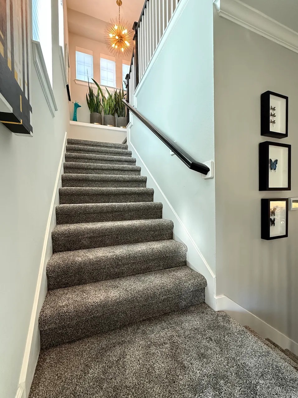 Carpet installed on stairs by Floors for Living